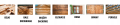 951dbd2e1e9a44f20be686ea9ecff66f.png